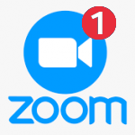 Zoom 1